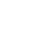 Turtle Icon